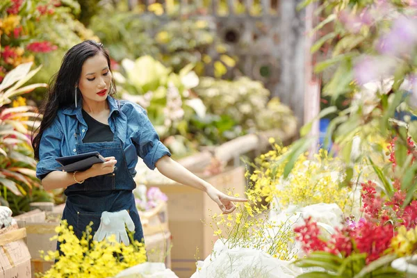 Genç Bayan Çiçekçi Serada Çiçeklerle Çalışıyor — Stok fotoğraf