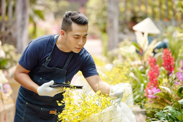 Kwekerij Tuinman Met Digitale Tablet Controleren Bloeiende Bloemen Van Planten — Stockfoto