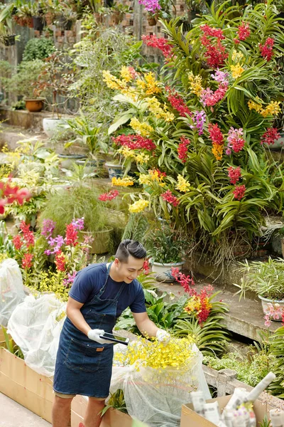Yakışıklı Gülümseyen Asyalı Çiçek Bakıcısı Dijital Tabletle Çiçeklere Bitkilere Bakıyor — Stok fotoğraf