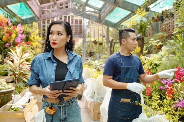 Gärtnerin Hilft Landschaftsplanerin Bei Der Auswahl Der Pflanzen Für Ihr — Stockfoto