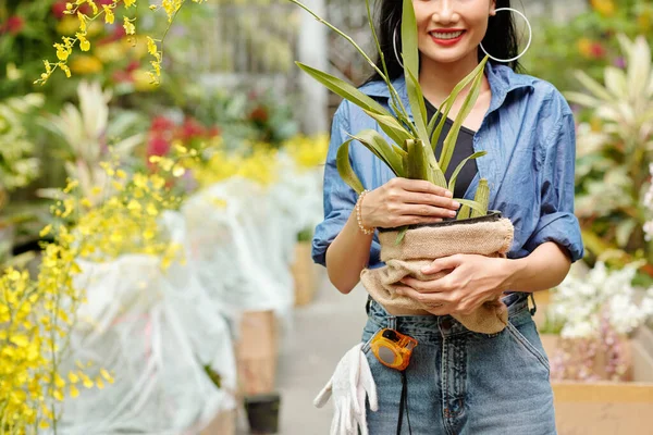 彼女は温室で買った鉢植えの花を保持幸せなベトナムの若い女性を笑顔の作物のイメージ — ストック写真