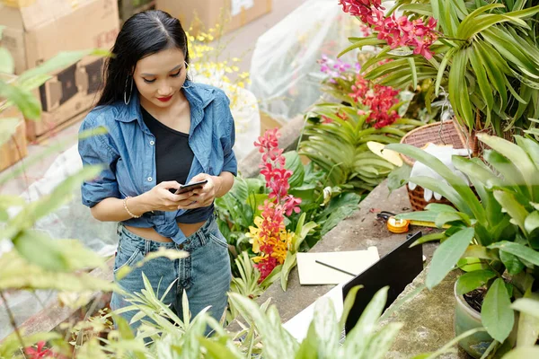 Mooie Jonge Vietnamese Vrouw Werkt Bloemenkwekerij Het Beantwoorden Van Berichten — Stockfoto