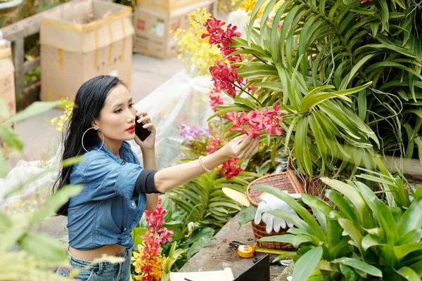 裏庭に赤い花の茂みを注文する顧客と電話で話す美しい若いアジアの花の保育園労働者 — ストック写真