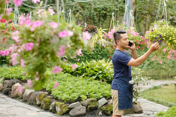 電話で花を確認するときに花の保育園の所有者は 電話で撮影ポット — ストック写真