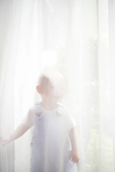 Souriant Mignon Petit Enfant Debout Derrière Rideau Par Fenêtre Regardant — Photo