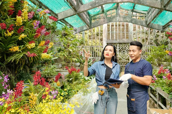 Nuoret Aasialaiset Kasvihuonetyöntekijät Etsivät Tiettyjä Kasveja Kasvihuoneessa Keräävät Suuren Tilauksen — kuvapankkivalokuva