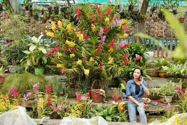 多くの花が咲く温室で働いているかなり若いアジアの女性は 彼女は顧客と電話で話します — ストック写真