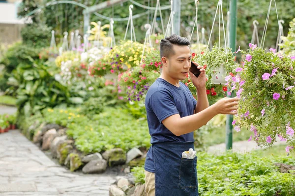 若いアジアの温室労働者は顧客と電話で話し ハンギングポットでペチュニアの花の順序を受け入れます — ストック写真