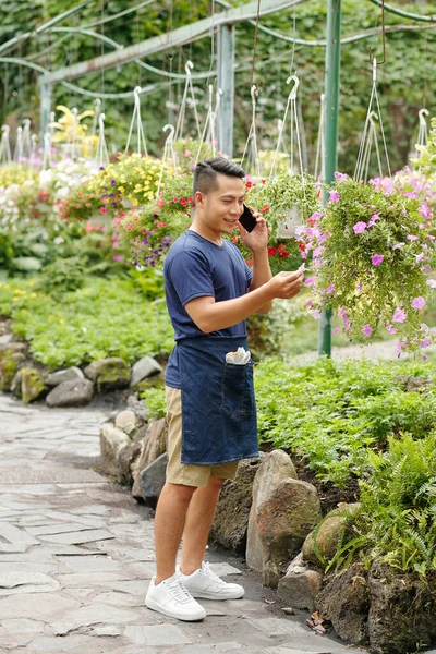 Lächelnde Junge Vietnamesische Gewächshausmitarbeiterin Telefoniert Und Überprüft Blühende Violette Petunienblüten — Stockfoto