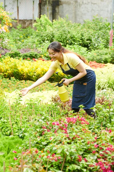 Junge Gartencenter Mitarbeiterin Sprüht Pflanzen Und Blumen Mit Wasser — Stockfoto