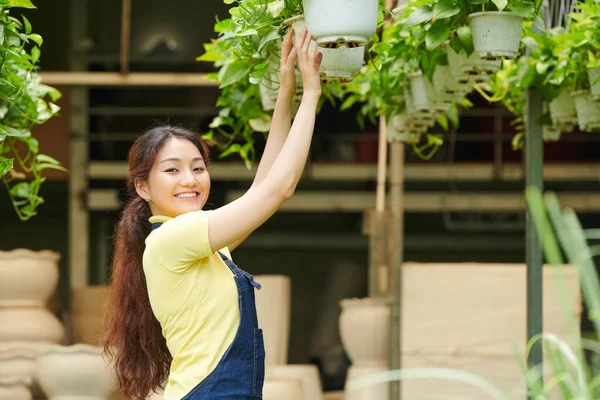 Mooie Jonge Vrouw Werkt Het Tuincentrum Hangt Potten Met Bloemen — Stockfoto