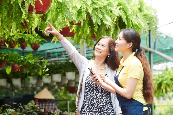 Lächelnde Reife Frau Bittet Gartencenter Mitarbeiterin Ihren Farn Hängetopf Geben — Stockfoto