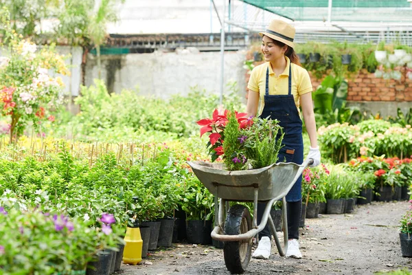 Vrolijke Jonge Vrouw Werkt Tuincentrum Loopt Met Kruiwagen Zet Bestelde — Stockfoto