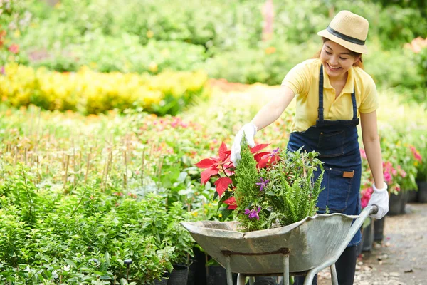 若い植物保育士の笑顔車列を植物でいっぱいに押す — ストック写真