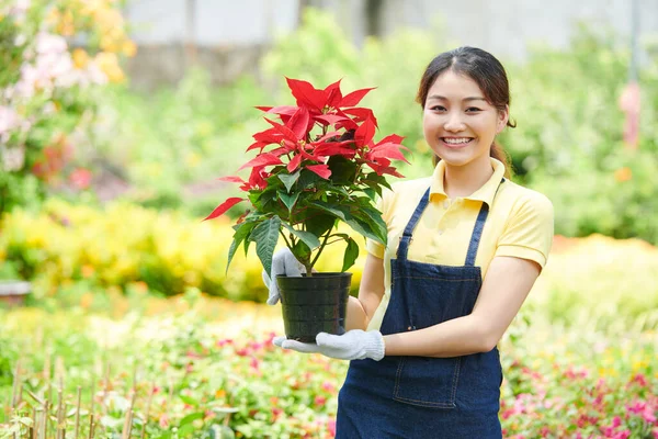 Portrait Joyeux Jeune Ouvrier Joyeux Centre Jardinage Tablier Gants Tenant — Photo