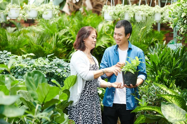 母親が彼女の家のために植物や花を選ぶのを助ける笑顔の若い男 — ストック写真