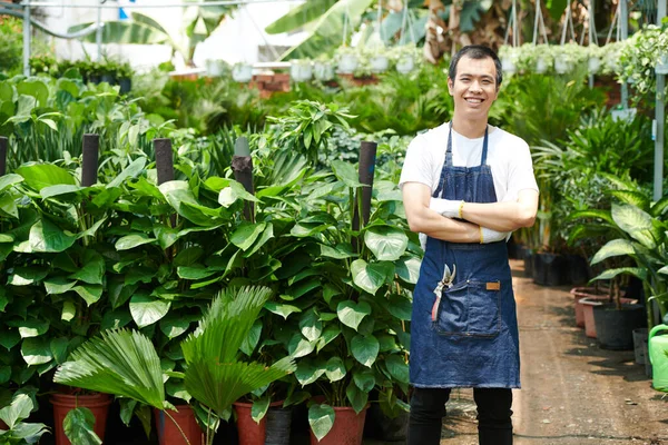 Joven Hombre Asiático Alegre Delantal Mezclilla Trabajando Invernadero — Foto de Stock