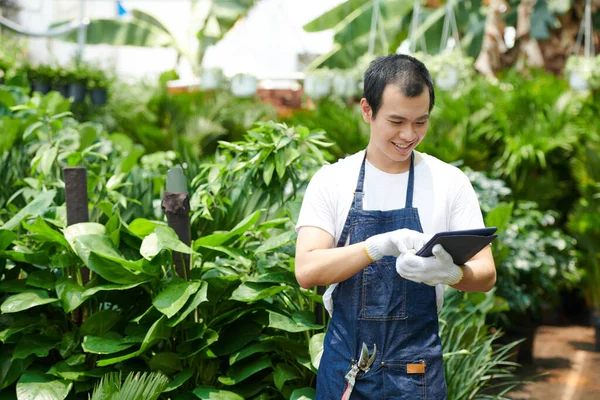 植物園で働くときにタブレットコンピュータに関する情報をチェックする陽気な若いアジア人男性 — ストック写真