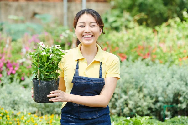 Glad Upphetsad Ung Kvinna Som Håller Kruka Med Blommande Växt — Stockfoto