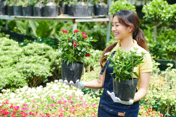 Preciosa Joven Sonriente Mujer Sosteniendo Plantas Maceta Que Necesita Para — Foto de Stock