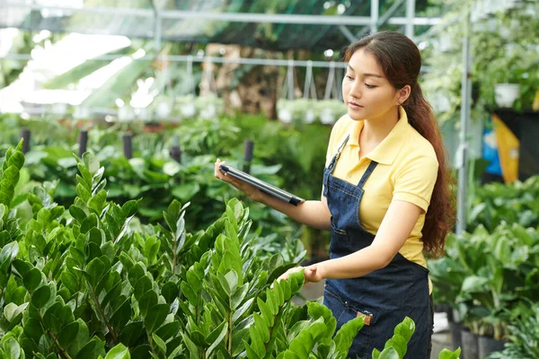 Vrouw werkzaam in tuincentrum — Stockfoto