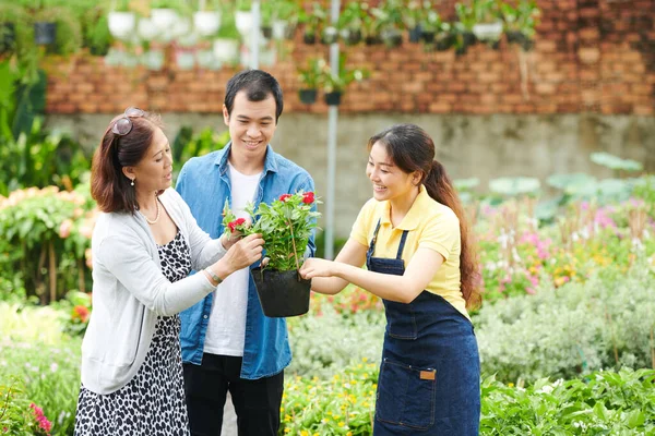 Hulp van de klant bij het vinden van achtertuin bloemen — Stockfoto