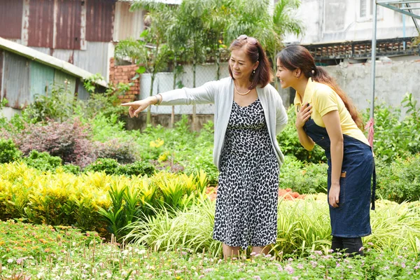 園芸センターでの植物の購入 — ストック写真