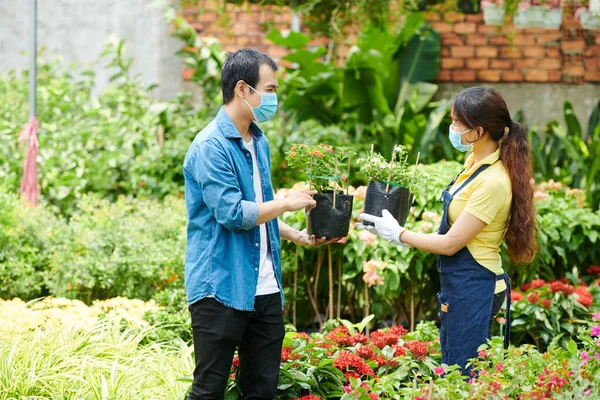 Comprar Flores en Centro de Jardinería —  Fotos de Stock