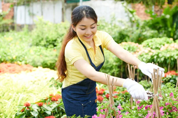 Mujer joven cortando flores — Foto de Stock