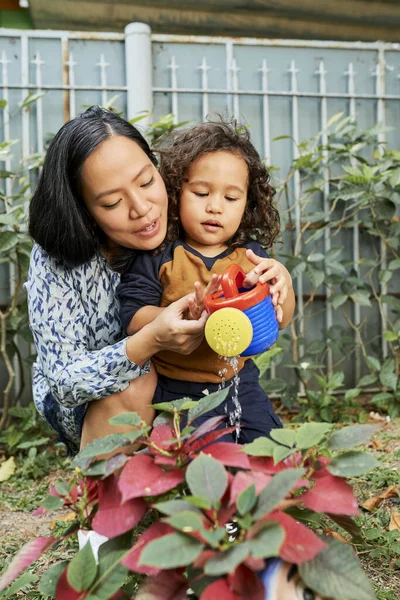 Madre e hijo regando plantas —  Fotos de Stock