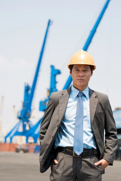 Businessman at freight dock — Stock Photo, Image