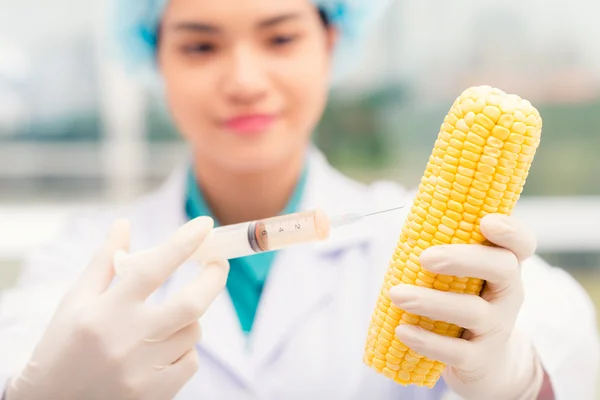 Scientist injecting GMO — Stock Photo, Image