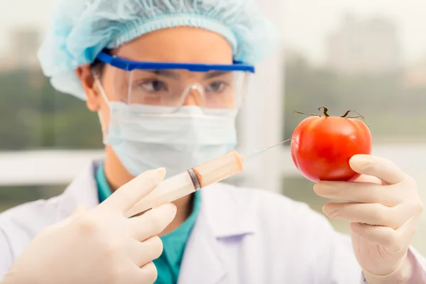 Vrouwelijke scheikundige injecteren rijpe tomaat — Stockfoto