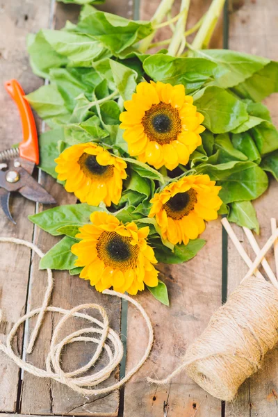 Flores para la venta — Foto de Stock