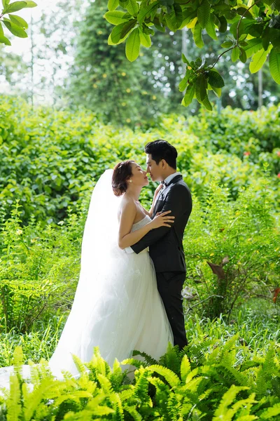 Pocałunek ślub — Zdjęcie stockowe