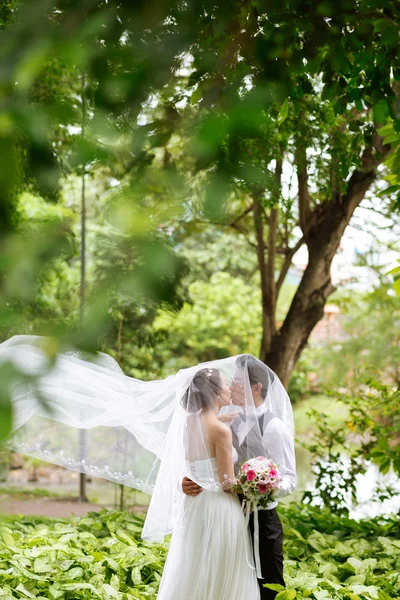 Beijando no parque — Fotografia de Stock