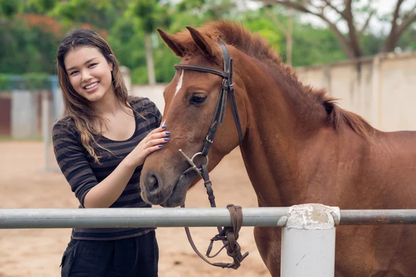 Pony acariciador — Foto de Stock