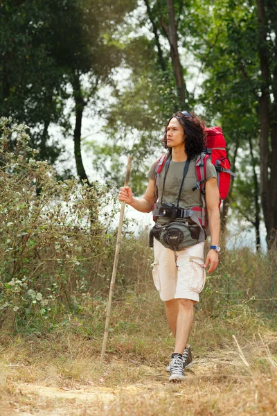 Aventurero senderismo con un palo — Foto de Stock