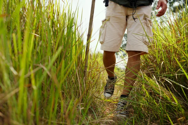 Viajero caminando en la hierba — Foto de Stock