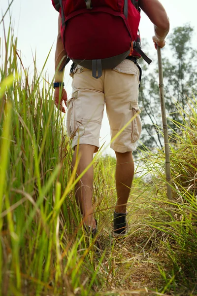 Hiker Walking through a meadow — Stock Photo, Image