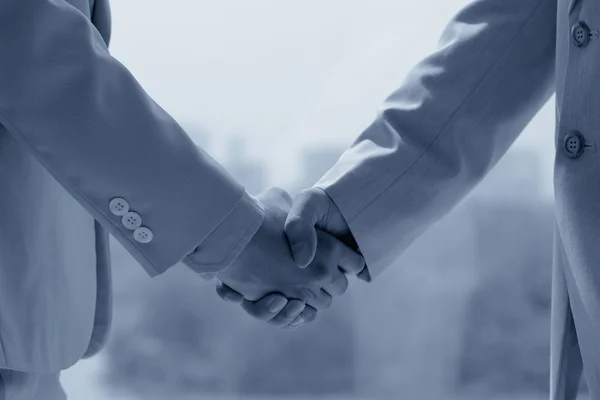 Partners shaking hands — Stock Photo, Image