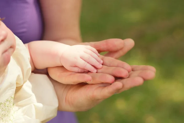 Mãos de bebê e seus pais — Fotografia de Stock