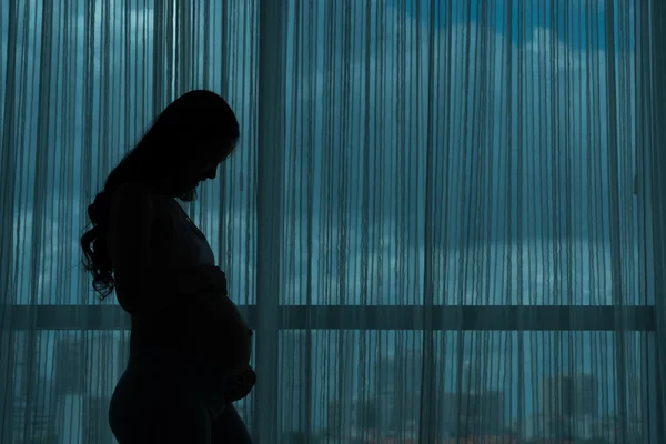 Hamile kadının silueti. — Stok fotoğraf