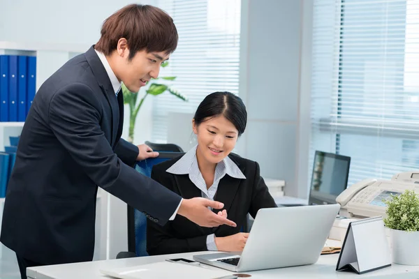 Colleagues working on laptop — Stock Photo, Image