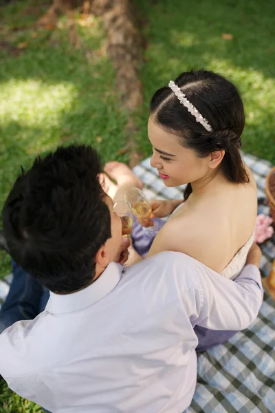 Toasting couple  at the picnic — Stock Photo, Image