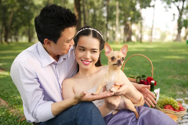 Casal com um cão Chihuahua — Fotografia de Stock