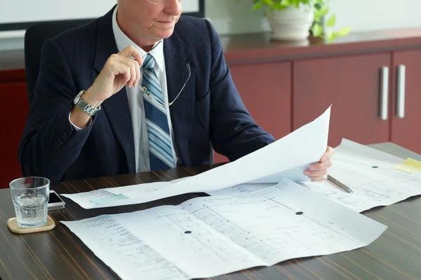 Investor looking at blueprint — Stock Photo, Image