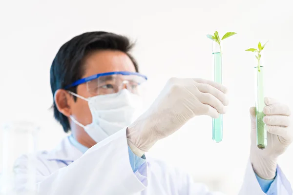Scientist putting plants into tubes — Stock Photo, Image