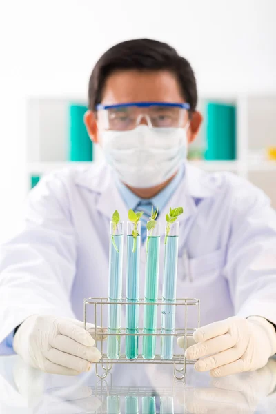 Scientist testing plants — Stock Photo, Image