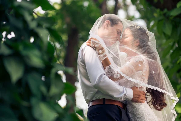 Casal recém-casado beijando — Fotografia de Stock